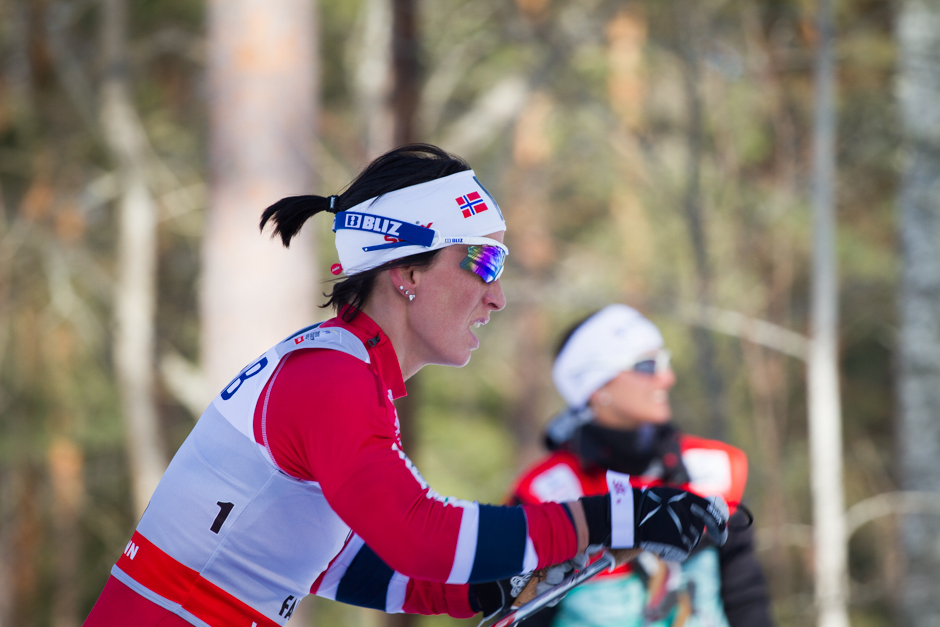 Svenska Skidspelen - Världscupen i Falun 2013